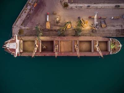 Diana Charters Kamsarmax Bulker to Paralos